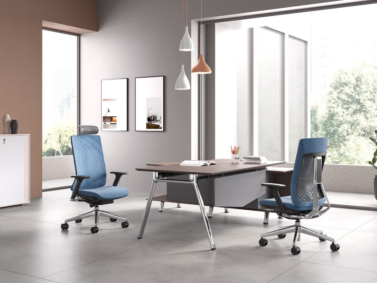 Comfort Chair ERGOLUX - OTG Furniture